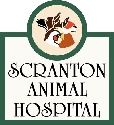 Scranton Animal Hospital
